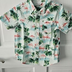 Janie and Jack Flamingo Print Kids Shirt - White and Green